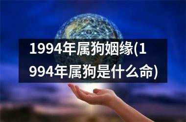 <h3>1994年属狗姻缘(1994年属狗是什么命)