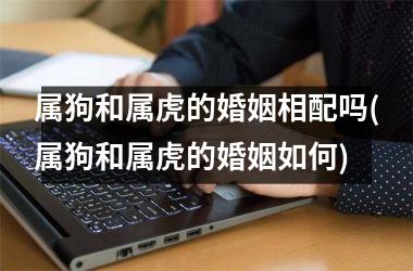 属狗和属虎的婚姻相配吗(属狗和属虎的婚姻如何)