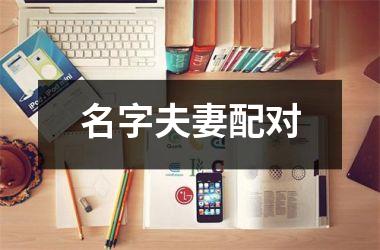<h3>名字夫妻配对