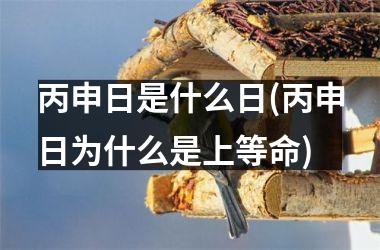 <h3>丙申日是什么日(丙申日为什么是上等命)