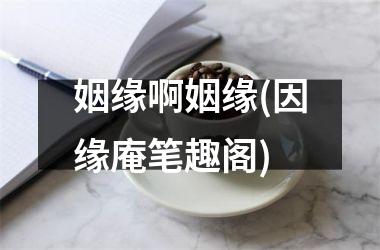 <h3>姻缘啊姻缘(因缘庵笔趣阁)