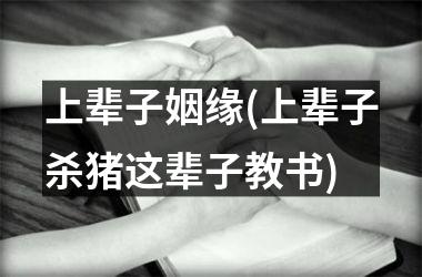 上辈子姻缘(上辈子杀猪这辈子教书)