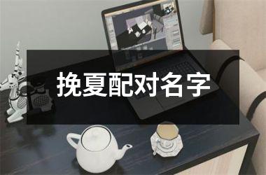 挽夏配对名字