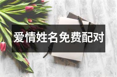 <h3>爱情姓名免费配对