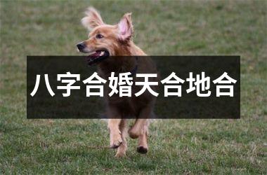 <h3>八字合婚天合地合