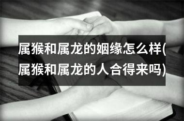 <h3>属猴和属龙的姻缘怎么样(属猴和属龙的人合得来吗)