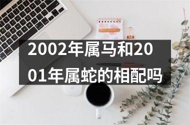 <h3>2002年属马和2001年属蛇的相配吗