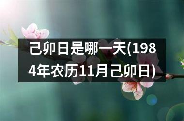 己卯日是哪一天(1984年农历11月己卯日)
