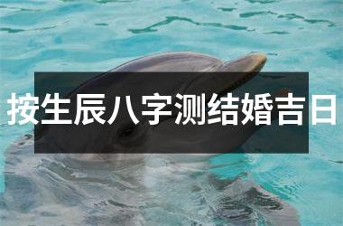 <h3>按生辰八字测结婚吉日