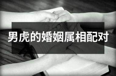 <h3>男虎的婚姻属相配对