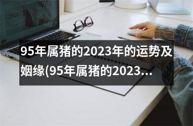 <h3>95年属猪的2025年的运势及姻缘(95年属猪的2025年运势怎么样)