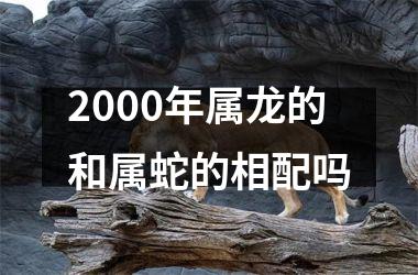 <h3>2000年属龙的和属蛇的相配吗