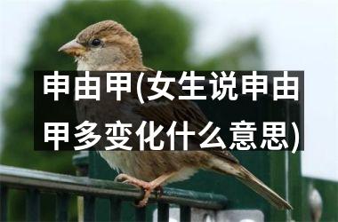 <h3>申由甲(女生说申由甲多变化什么意思)