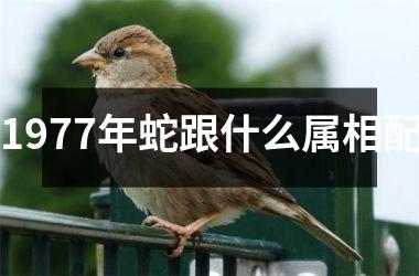 <h3>1977年蛇跟什么属相配