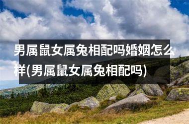 <h3>男属鼠女属兔相配吗婚姻怎么样(男属鼠女属兔相配吗)