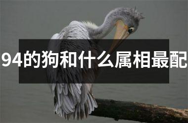 <h3>94的狗和什么属相最配