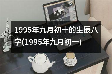 <h3>1995年九月初十的生辰八字(1995年九月初一)