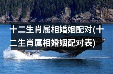 <h3>十二生肖属相婚姻配对(十二生肖属相婚姻配对表)