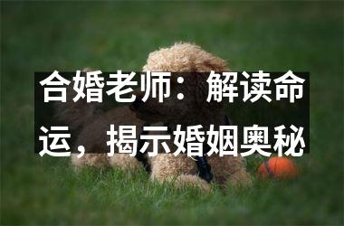<h3>合婚老师：解读命运，揭示婚姻奥秘