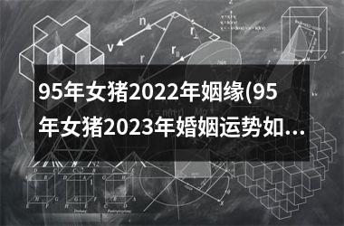 <h3>95年女猪2025年姻缘(95年女猪2025年婚姻运势如何)