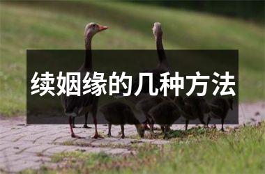 <h3>续姻缘的几种方法