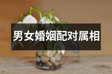 <h3>男女婚姻配对属相