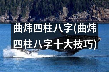 <h3>曲炜四柱八字(曲炜四柱八字十大技巧)