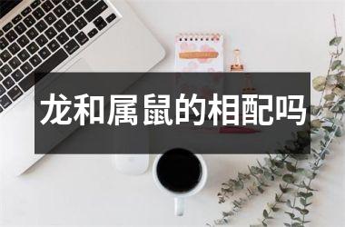 龙和属鼠的相配吗