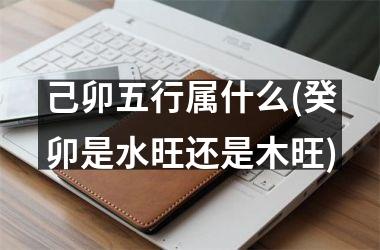 <h3>己卯五行属什么(癸卯是水旺还是木旺)
