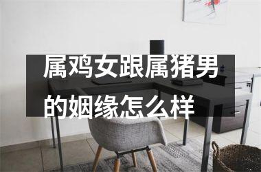 <h3>属鸡女跟属猪男的姻缘怎么样