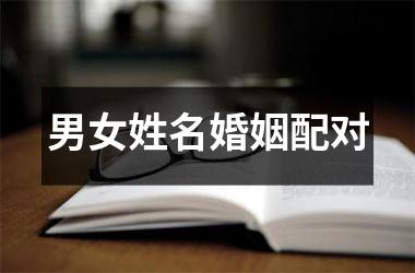 <h3>男女姓名婚姻配对