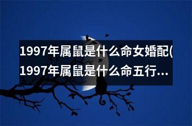<h3>1997年属鼠是什么命女婚配(1997年属鼠是什么命五行属什么)