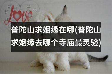 <h3>普陀山求姻缘在哪(普陀山求姻缘去哪个寺庙最灵验)