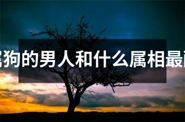 <h3>属狗的男人和什么属相最配