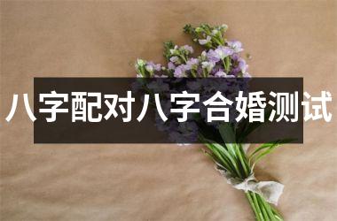 <h3>八字配对八字合婚测试