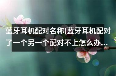蓝牙耳机配对名称(蓝牙耳机配对了一个另一个配对不上怎么办)