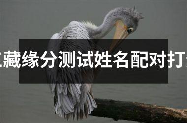 三藏缘分测试姓名配对打分