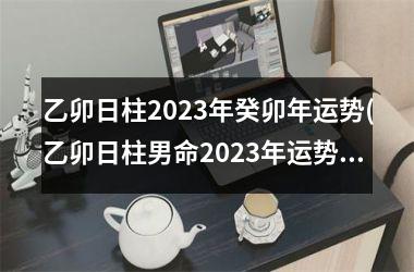 乙卯日柱2023年癸卯年运势(乙卯日柱男命2023年运势)