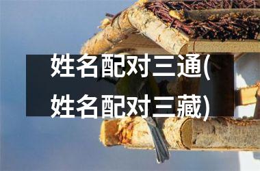 <h3>姓名配对三通(姓名配对三藏)