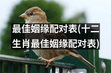 <h3>最佳姻缘配对表(十二生肖最佳姻缘配对表)