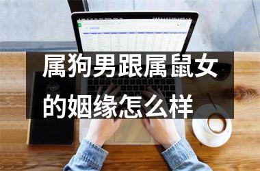 <h3>属狗男跟属鼠女的姻缘怎么样