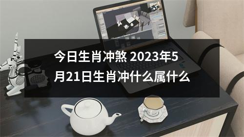 今日生肖冲煞2025年5月21日生肖冲什么属什么