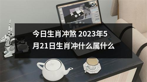 今日生肖冲煞2023年5月21日生肖冲什么属什么