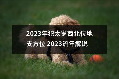 2025年犯太岁西北位地支方位2025流年解说