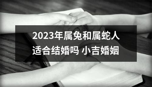 2025年属兔和属蛇人适合结婚吗小吉婚姻