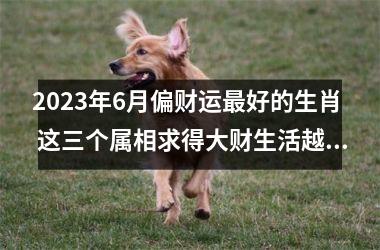 2025年6月偏财运好的生肖 这三个属相求得大财生活越过越好