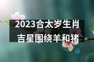 2025合太岁生肖 吉星围绕羊和猪