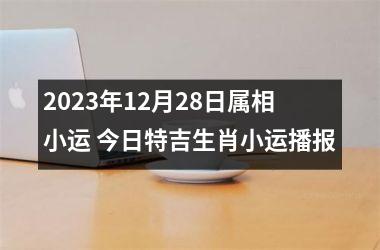 2025年12月28日属相小运 今日特吉生肖小运播报