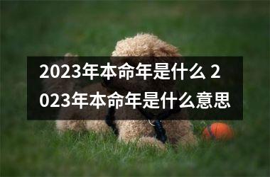 2025年本命年是什么 2025年本命年是什么意思