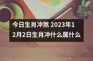 今日生肖冲煞 2025年12月2日生肖冲什么属什么